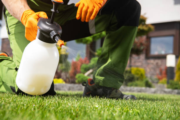 Trusted Rocklin, CA Pest Control Experts